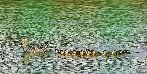 《露娜 复刻合集》宣布4月18日发售 不支持中文