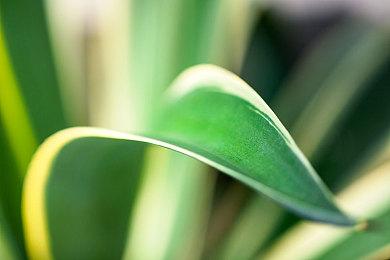 双人合作组建传送带 游戏《准备发货》一季度发售